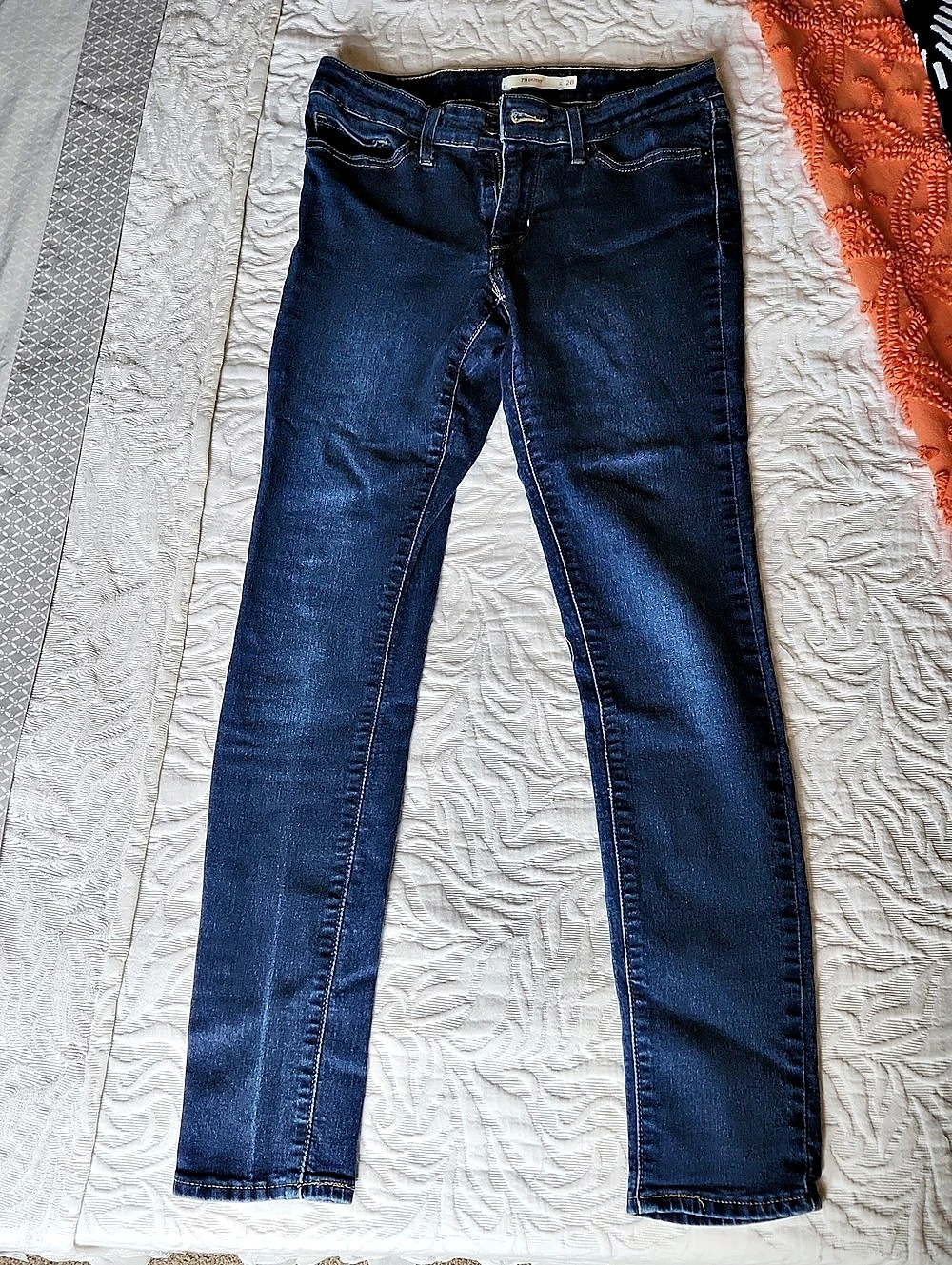 LEVI Strauss Skinny Jeans in Blue Waist 28 Like New